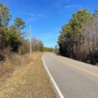 Winston County AL 118 Acre Timber and Recreational Tract images 2