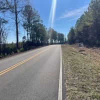 Winston County AL 118 Acre Timber and Recreational Tract images 3