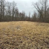 LAND FOR SALE - 148 - ACRES - MIXED HABITAT- RECREATIONAL - INDIANA - SCOTT COUNTY images 2