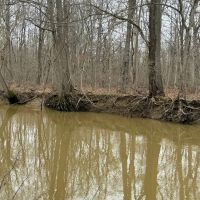 LAND FOR SALE - 148 - ACRES - MIXED HABITAT- RECREATIONAL - INDIANA - SCOTT COUNTY images 3