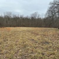 LAND FOR SALE - 148 - ACRES - MIXED HABITAT- RECREATIONAL - INDIANA - SCOTT COUNTY images 4
