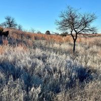 Pechin Ranch 360 images 3
