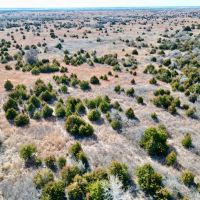 Pechin Ranch 360 images 4