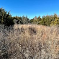 Pechin Ranch 360 images 5