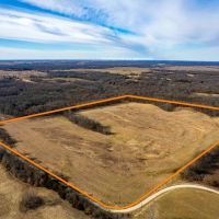 46 Acre Hunting Tract for Sale with CRP Income for Sale Lewis County
