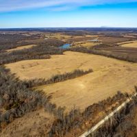 46 Acre Hunting Tract for Sale with CRP Income for Sale Lewis County images 3
