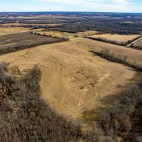 46 Acre Hunting Tract for Sale with CRP Income for Sale Lewis County images 4