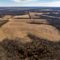 46 Acre Hunting Tract for Sale with CRP Income for Sale Lewis County images 5
