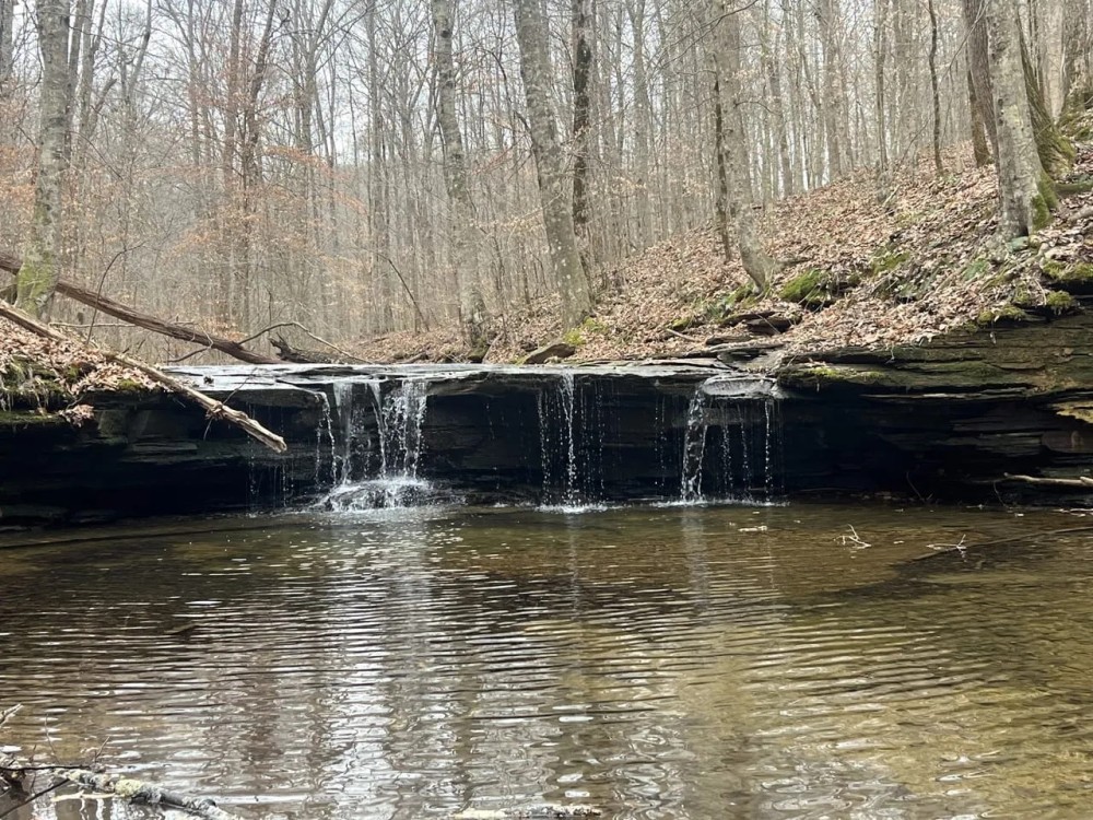 Excellent hunting recreational property with secluded 3 bed 2 bath modular home located in Macon County Tennessee featured image