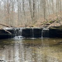 Excellent hunting recreational property with secluded 3 bed 2 bath modular home located in Macon County Tennessee