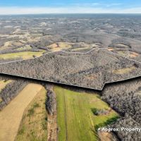 Excellent hunting recreational property with secluded 3 bed 2 bath modular home located in Macon County Tennessee images 3