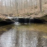 Excellent hunting recreational property with secluded 3 bed 2 bath modular home located in Macon County Tennessee images 4