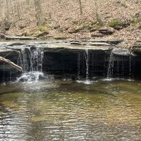Excellent hunting recreational property with secluded 3 bed 2 bath modular home located in Macon County Tennessee images 5