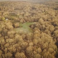 238 Acres in Yazoo County MS images 2