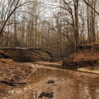238 Acres in Yazoo County MS images 3