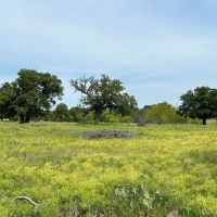 New Listing 5 - Ac TBD CR 579 Eastland County images 4