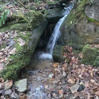 58 - Acres with Gorgeous Home in Jackson County images 5