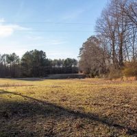 40 acres of Residential Agricultural Recreational and Timberland For Sale in Brunswick County VA images 3