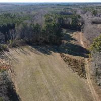 40 acres of Residential Agricultural Recreational and Timberland For Sale in Brunswick County VA images 5