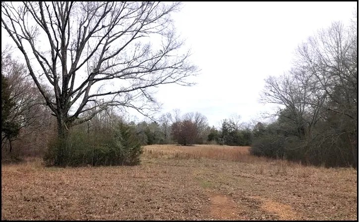 50 Acres in Holmes County in Goodman MS featured image