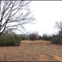 50 Acres in Holmes County in Goodman MS