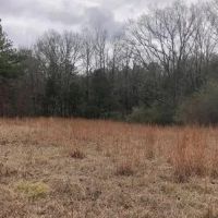 50 Acres in Holmes County in Goodman MS images 2