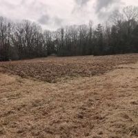 50 Acres in Holmes County in Goodman MS images 5