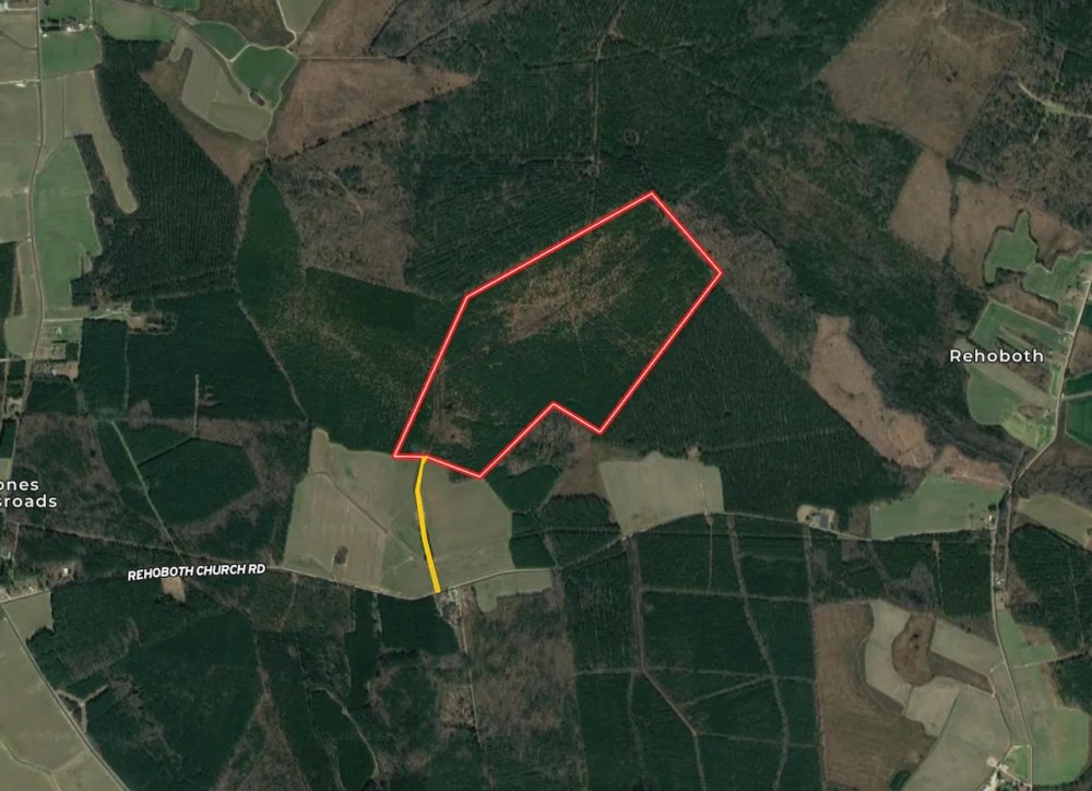 162.7 acres of Recreational Timberland For Sale in Northampton County NC featured image