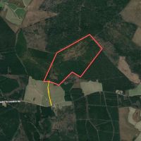162.7 acres of Recreational Timberland For Sale in Northampton County NC images 1