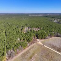 162.7 acres of Recreational Timberland For Sale in Northampton County NC images 2