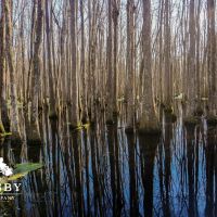Little Gruber South images 5