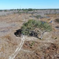 Hwy 90 398 acres images 2