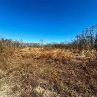 Hwy 90 398 acres images 3