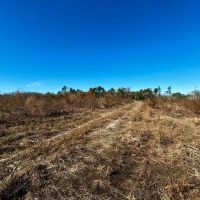 Hwy 90 398 acres images 4