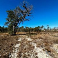 Hwy 90 398 acres images 5