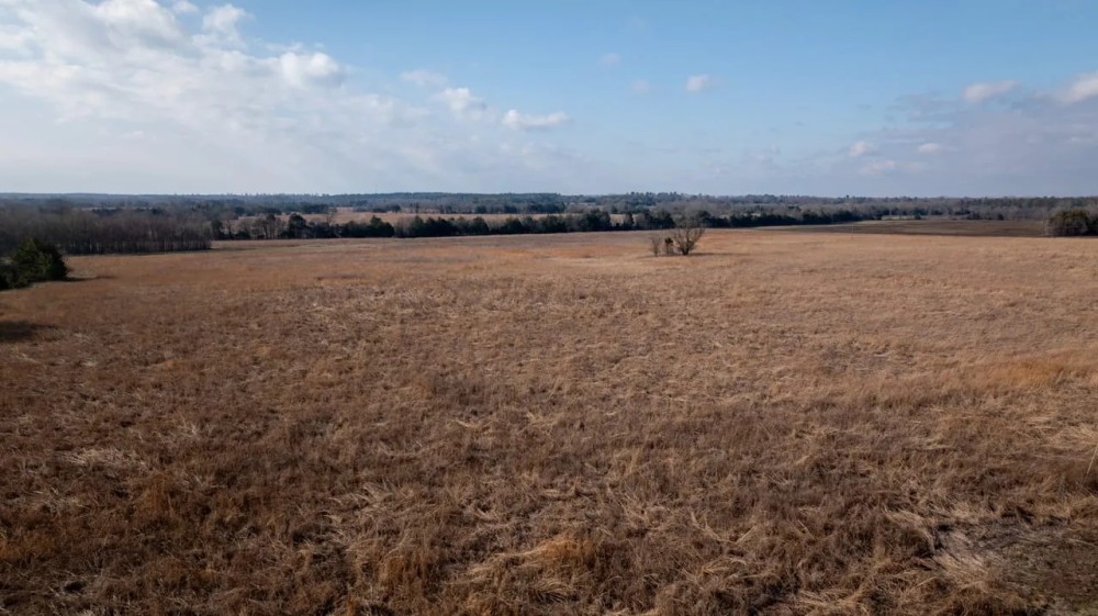 Lowndes County - 238 Acre - Prairie Paradise featured image