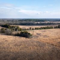 Lowndes County - 238 Acre - Prairie Paradise images 5