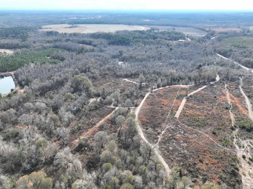 42.13 - Ac Little Alligator Creek Tract Telfair County GA featured image