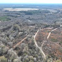 42.13 - Ac Little Alligator Creek Tract Telfair County GA