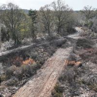 42.13 - Ac Little Alligator Creek Tract Telfair County GA images 3