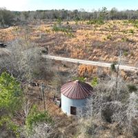 42.13 - Ac Little Alligator Creek Tract Telfair County GA images 4