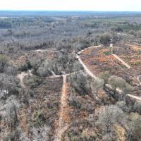 42.13 - Ac Little Alligator Creek Tract Telfair County GA images 5