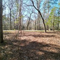 1.49 acre Riverfront Residential Building Lot For Sale in Pender County NC images 5