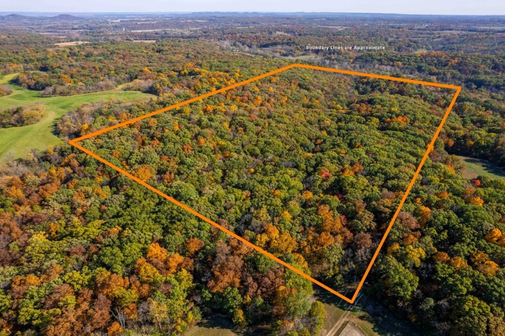 47.14 Acre Hunting Recreational Tract with Possible Homesite for Sale Pike County featured image