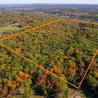 47.14 Acre Hunting Recreational Tract with Possible Homesite for Sale Pike County