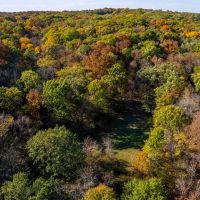 47.14 Acre Hunting Recreational Tract with Possible Homesite for Sale Pike County images 2
