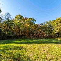 47.14 Acre Hunting Recreational Tract with Possible Homesite for Sale Pike County images 4