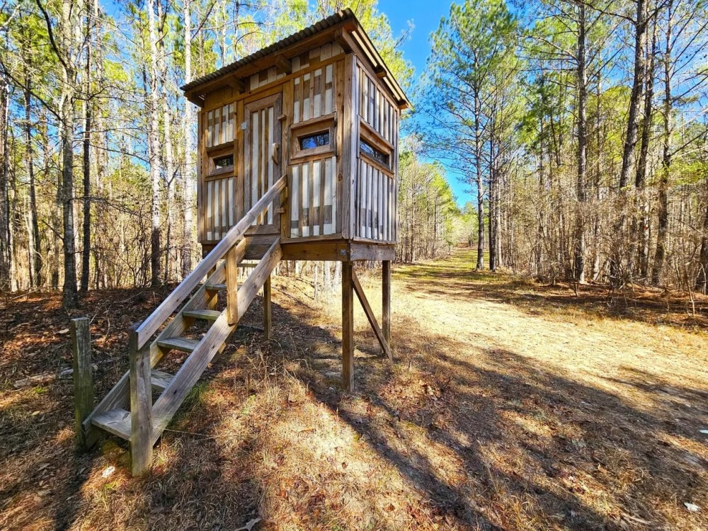 75 - Ac 6235 Riggins Mill Rd Dry Branch GA 31020 featured image