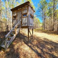 75 - Ac 6235 Riggins Mill Rd Dry Branch GA 31020