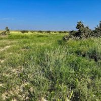 Centennial Ranch images 5